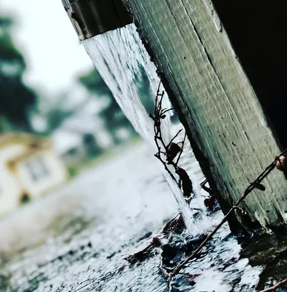 gutter downsprout