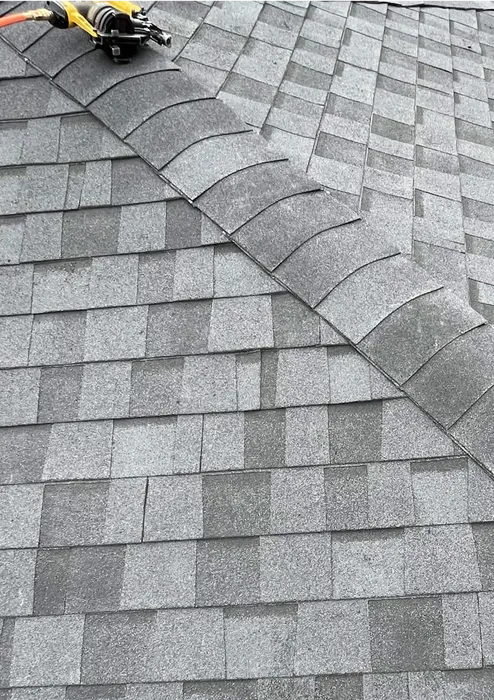 shingle roof